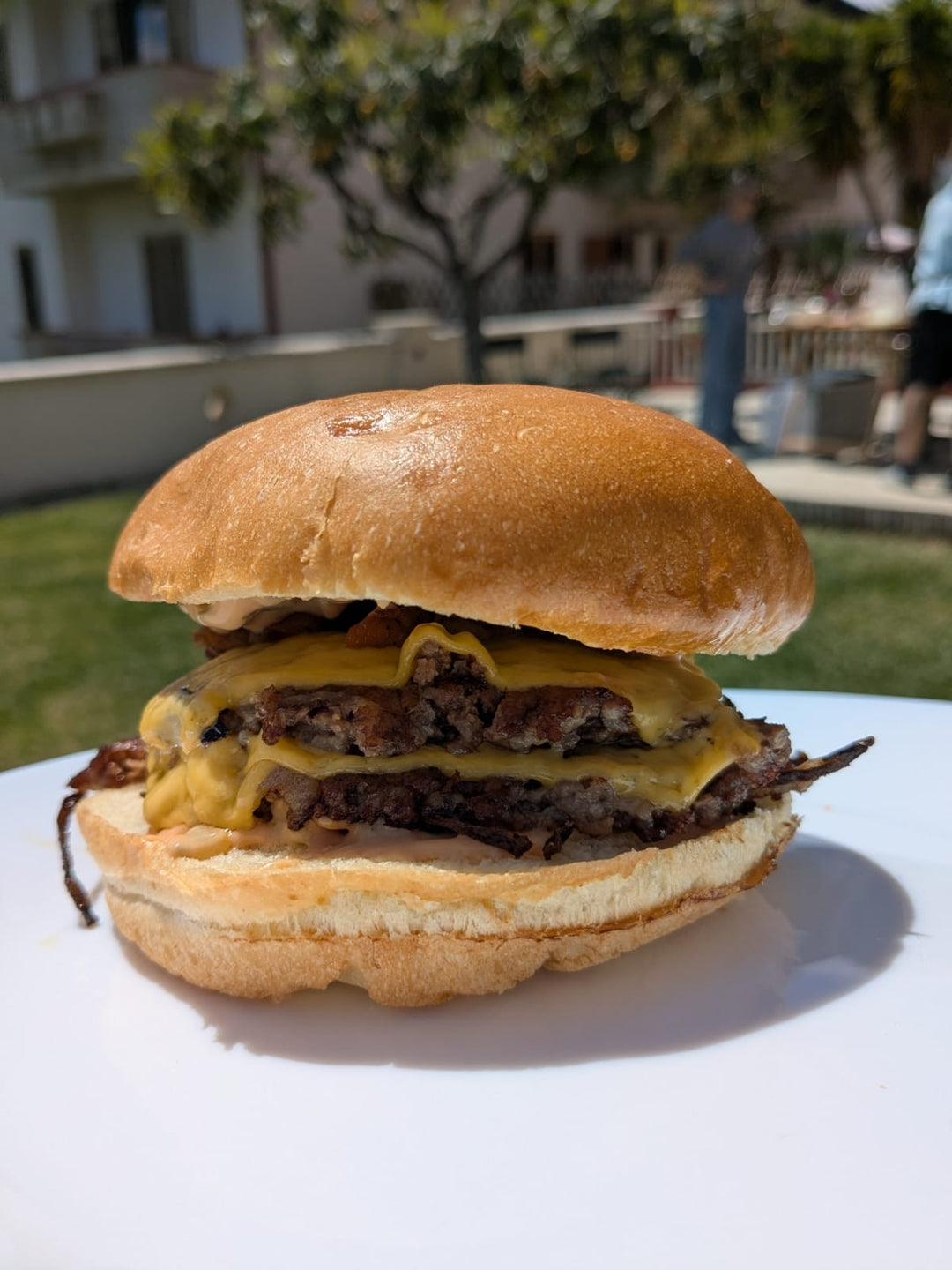 Maxi Potato Rolls • 80gr